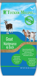 Tucker Milling Goat Maintenance & Buck