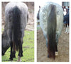 Horse Guard Hoof & Hair Guard