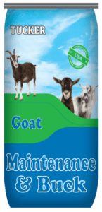Tucker Milling Goat Maintenance & Buck