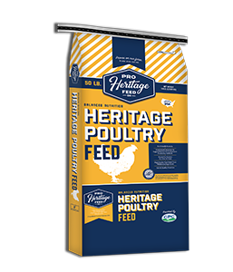 Pro Heritage 5-Grain Scratch
